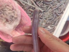 -黄沙水产交易市场