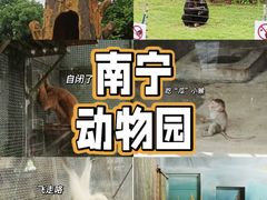 -南宁市动物园