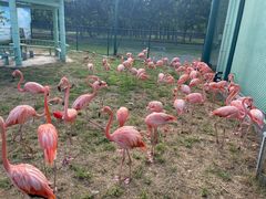 -秦皇岛野生动物园