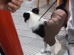-蛙一刀·麻椒鱼火锅(金仙桥店)