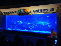 -成都浩海立方海洋公园