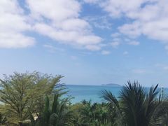 -海南椰子鸡餐厅(三亚湾红树林店)