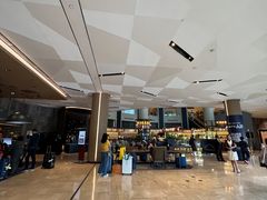 -新加坡瑞士史丹福酒店