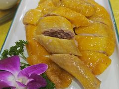 -茂港柏香(侨港路店)