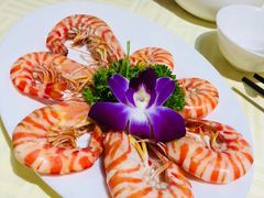 -影汇之星8字形摩天轮