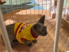 -尚泰清迈机场购物中心