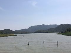 -鸣鹤古镇