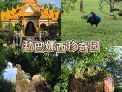 -云南勐巴娜西珍奇园