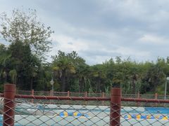 -上海玛雅海滩水公园