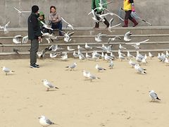 -海云台海滩