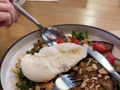 -Wagas沃歌斯(汇智店)