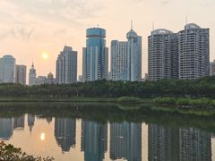 -万绿园
