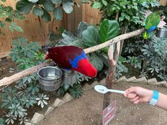 -南宫五洲植物乐园