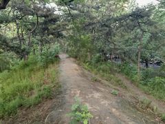 -元大都城垣遗址公园