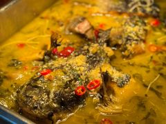 -嘉定凯悦·咖啡厅