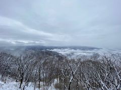 -牛背梁国家森林公园