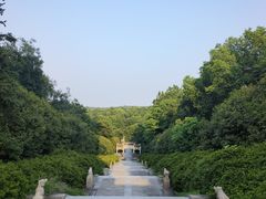 -宜兴龙背山森林公园