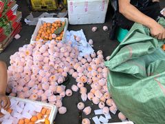 -城南综合水果批发市场(花园路店)