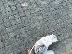 -钟山体育运动公园