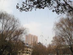 -西安市长乐公园