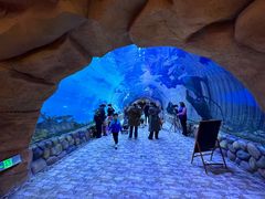 -华夏文旅海洋公园