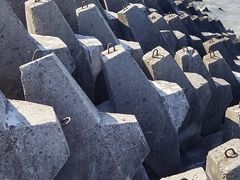 -上海滨江森林公园