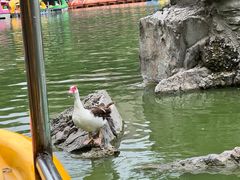 -团结湖公园