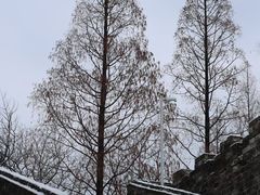 -明故宫遗址公园