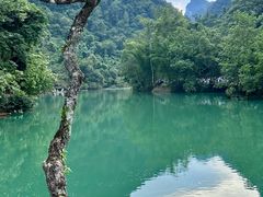 -小七孔景区-六十八级跌水瀑布