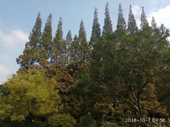 -上海醉白池公园