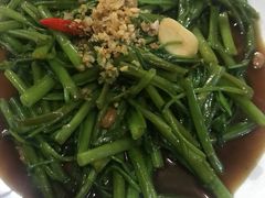 -Jungle Kitchen