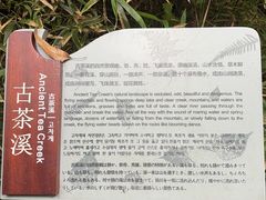 -波尔登森林公园