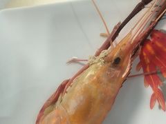 -七的湖·晚芳亭·阳澄湖农家菜·大闸蟹(莲花岛店)