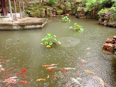 -兴福老面馆(寺路街店)