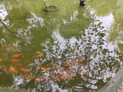 -滕王阁旅游区