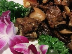 红烧排骨-船歌鱼水饺(高新园区店)