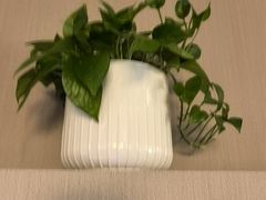 -漫·汤泉