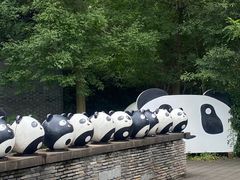 -都江堰中华大熊猫苑