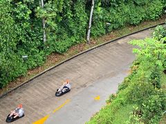 -圣淘沙天际线斜坡滑车