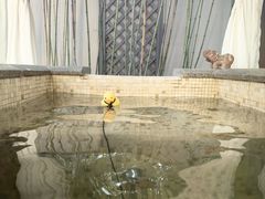 -春晖园度假酒店温泉