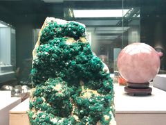 -湖南省地质博物馆