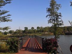 -王借岗森林公园