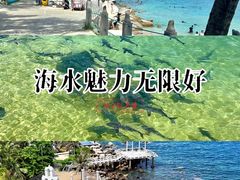-海南分界洲岛旅游区