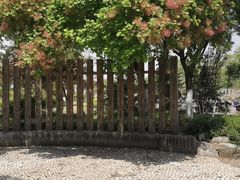 -济南国际园博园