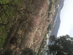 iphone_upload_pic-香雪海