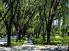 -野鸭湖国家湿地公园