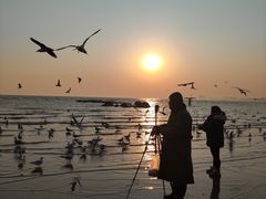 -老虎石海上公园