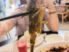 -院8里·少城记忆老川菜(宽窄巷子店)