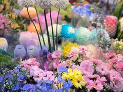 -花鸟鱼虫鲜花绿植市场(玉泉路店)