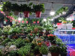 -大学城夜市大排档(凤栖路店)